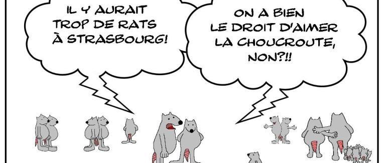 Les rats qui aimaient la choucroute
