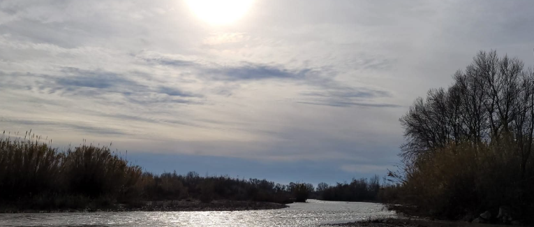 Balade au clair de brume