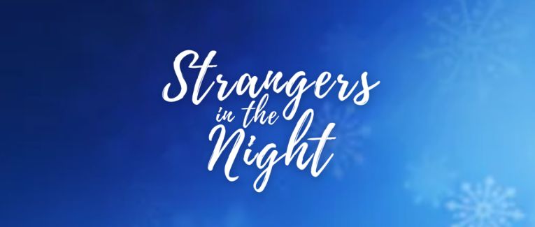 Strangers in the Night - Chapitre 2
