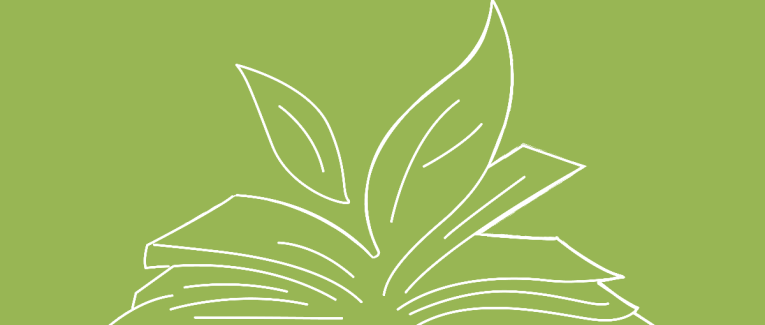 Green Tales : Favoriser la créativité avec des élèves allemands - Partie II