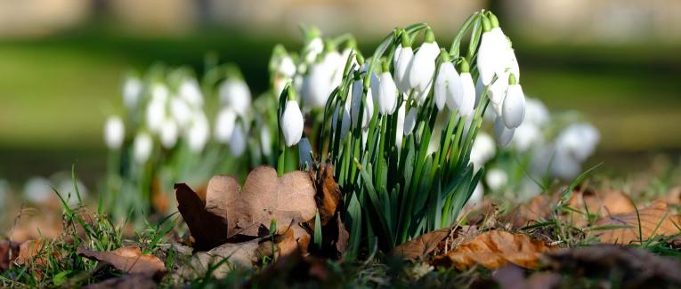 Un air de printemps