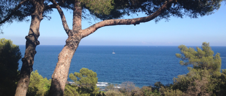 Le Masque de la Vérité et le Cynisme transmuté