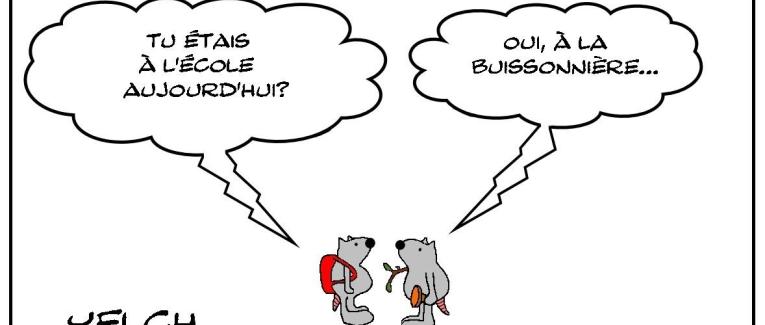 Différentes écoles