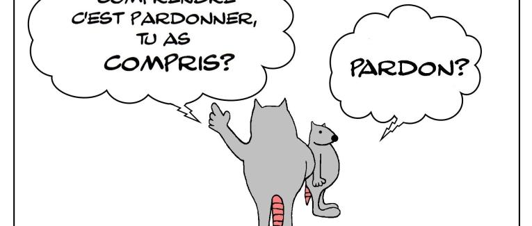 comprendre c'est pardonner et peut-on pardonner sans comprendre?