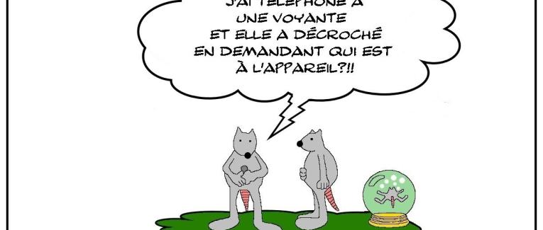Voyance et téléphone