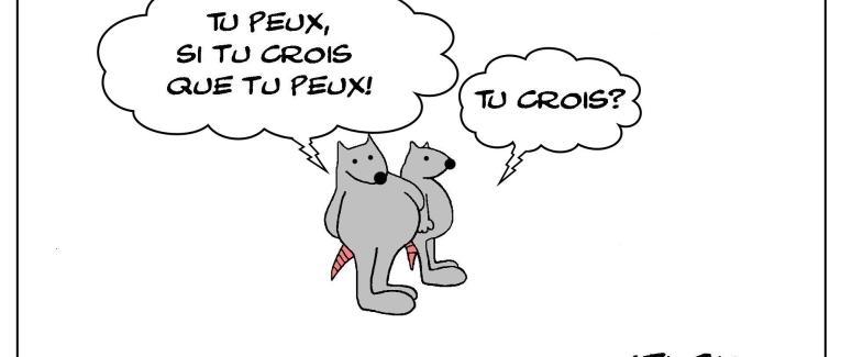 Croire sans doute