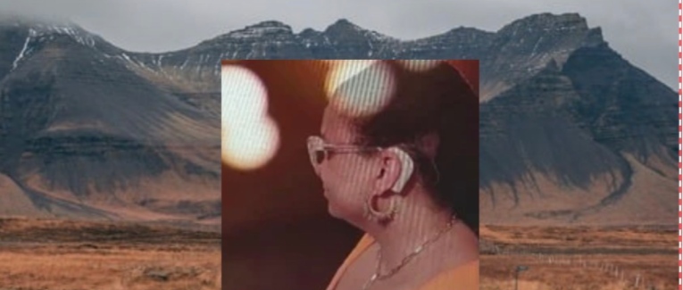 Chapitre 11 : S’adapter ou être inclus ?