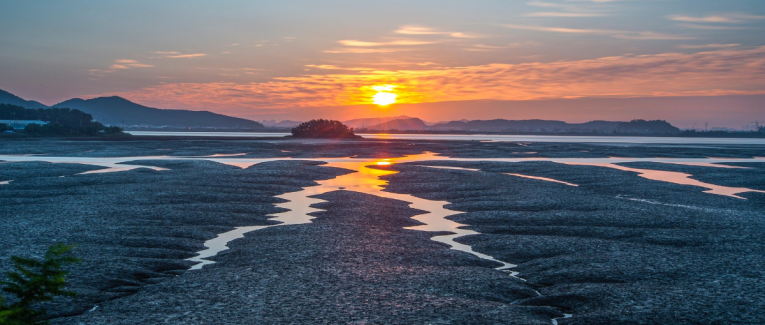 MAREE BASSE ( version sonnet )