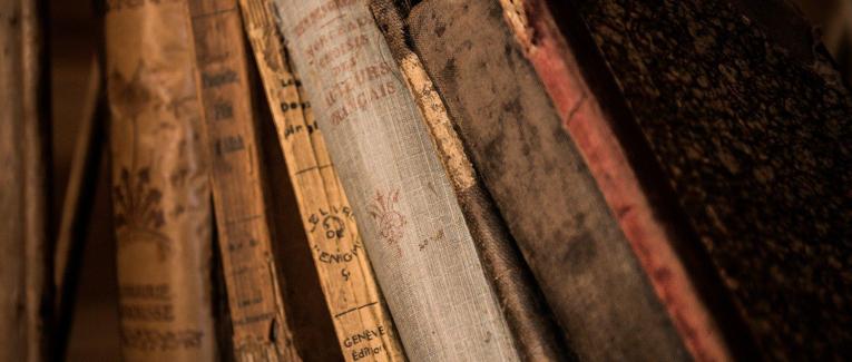 Le premier roman de l'Histoire