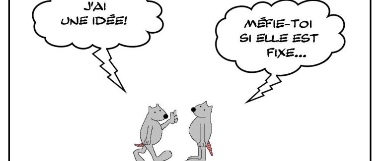 Idée non fixe