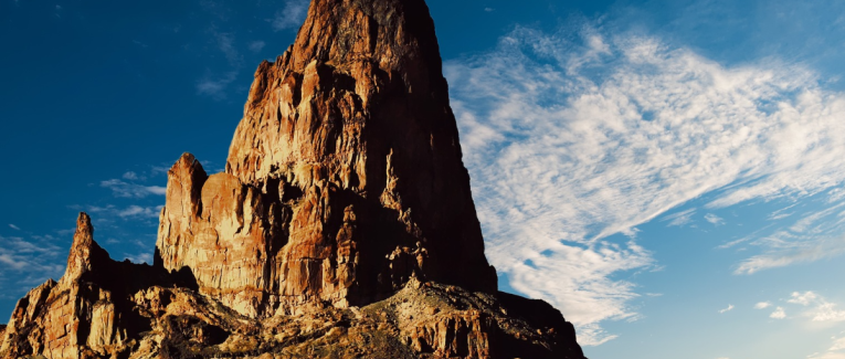 Le palmier de la fécondité