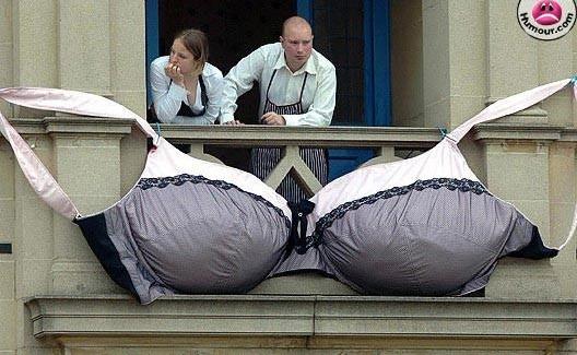 En forme de quoi ?