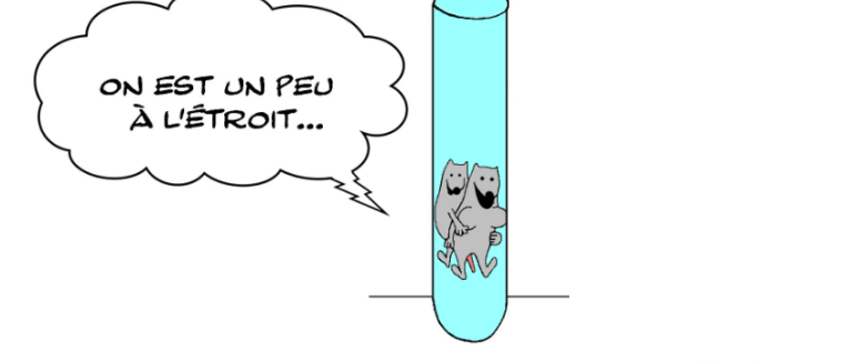 fécondation in vitro