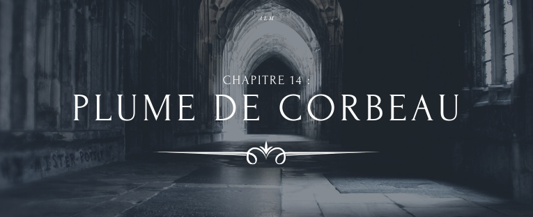A la Moldue - Chapitre 14 : Plume de corbeau