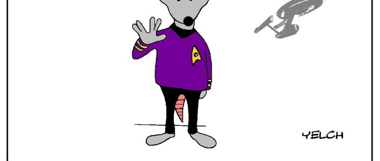 le cinéma des rats : Spock de Star Trek