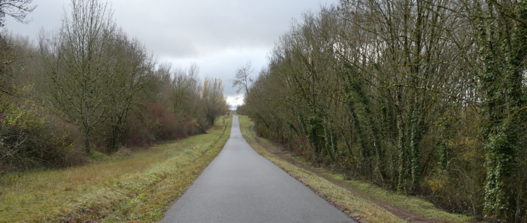 "Petite" balade du jour 😁