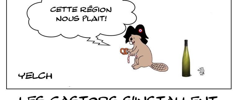 Castors en Alsace