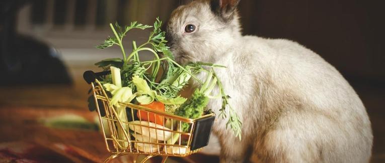 L'alimentation, le défi de la semaine