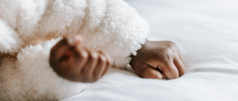 Le sommeil de la vie
