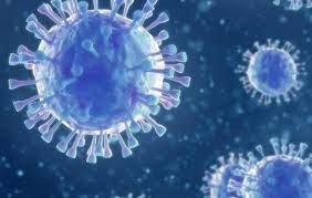My pandemic story