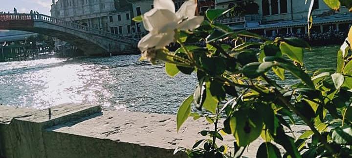 L'Acqua, un limes.
