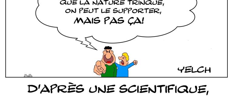 Pénis et pollution