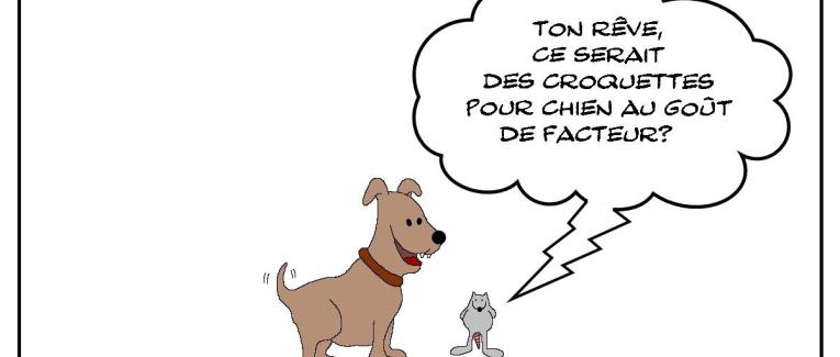 Les meilleurs croquettes pour chien