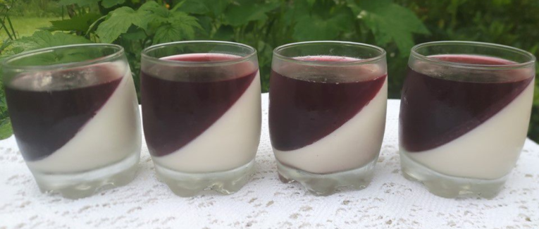 Panna cotta vanille et fleurs d'hibiscus - Recette en vidéo