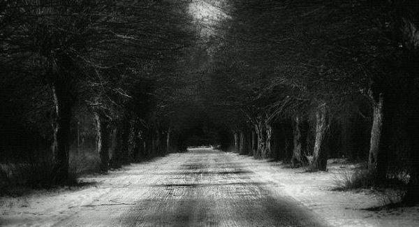 LE TEMPS DE LA DETRESSE