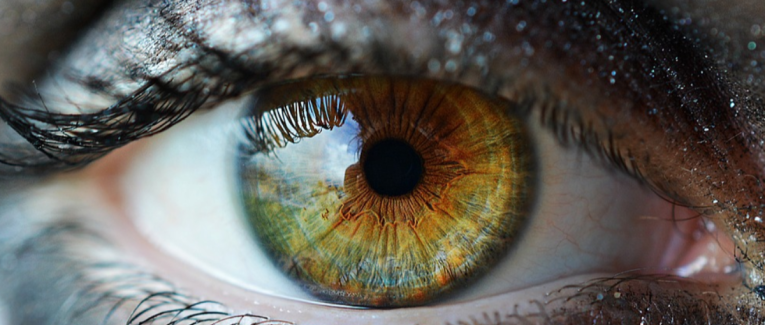 Lentille
