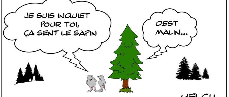 Le rat , le sapin et son odeur