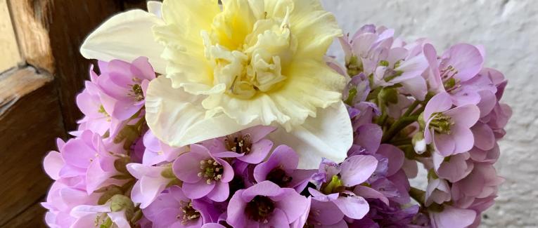 Le bouquet du Dimanche 6 Mars