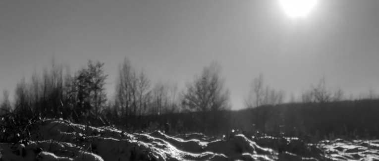 La Fable du manchot.