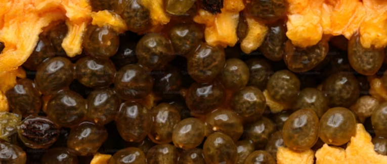 Caviar