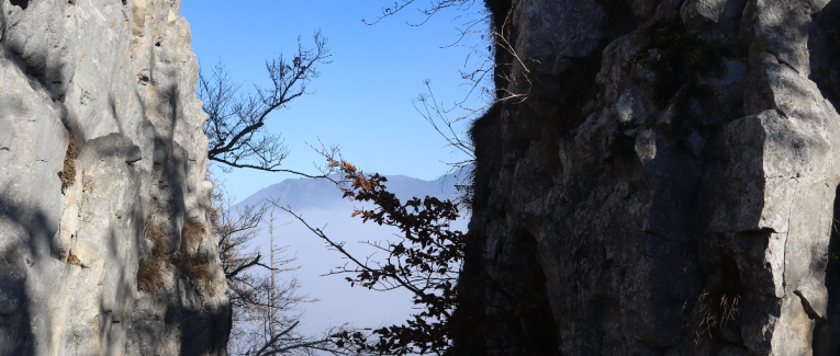 Sports extrêmes : Les biographies d’Uli Emanuele et de Hannes Arch