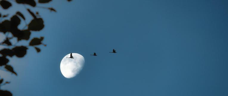 Sur ma lune