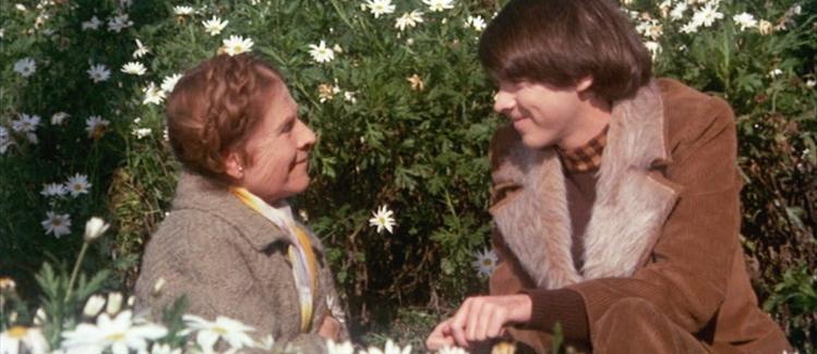 Harold et Maude (Harold and Maude, Hal Ashby, 1971)