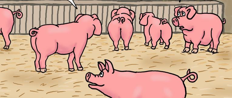 Covid-19 : pas de Salon de l'agriculture !