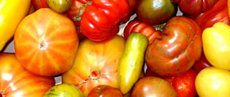 DEBUNKAGE : non, les semences ne sont pas la propriété des grands groupes, NON et NON !!