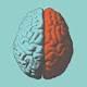 BRAIN:PROPAGANDA-POLITICS-MAFIA-"MEDICAL KIDNAPPING"