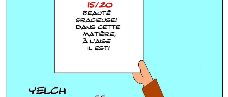 les bulletins scolaires d'Astérix : breton