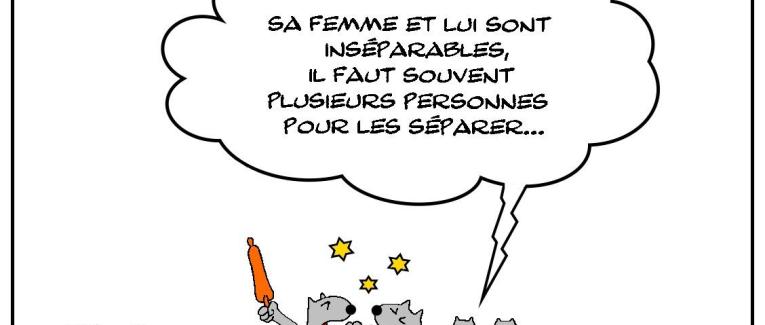 Durement inséparables