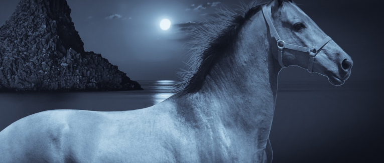 CHEVAL  BLEU
