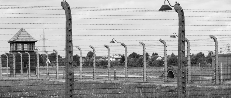 Retour à Birkenau de Ginette Kolinka