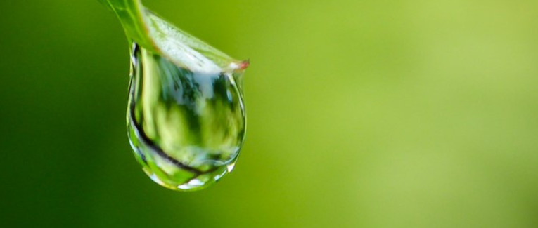 H2O