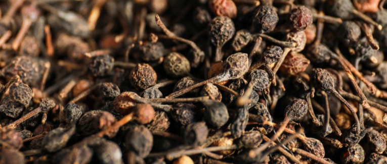 Sélection du poivre sauvage de Madagascar Par Le Comptoir de Toamasina