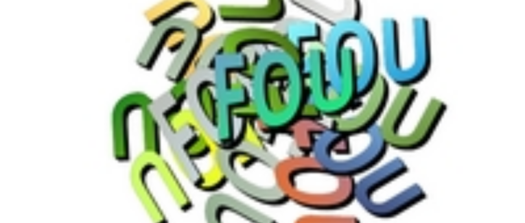 FOLIE FURIEUSE 2