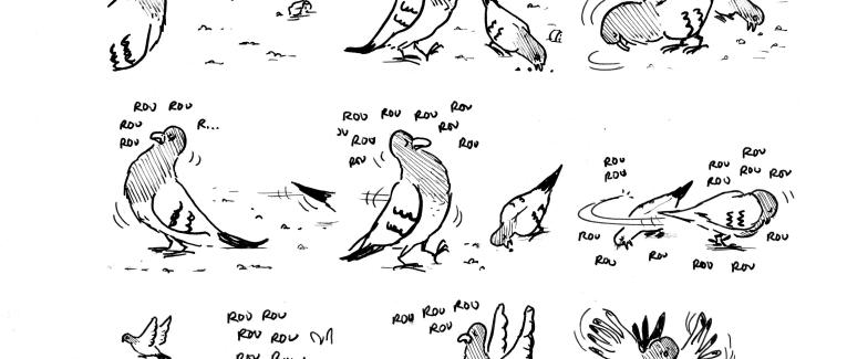 Amours, Pigeons & éducation sexuelle