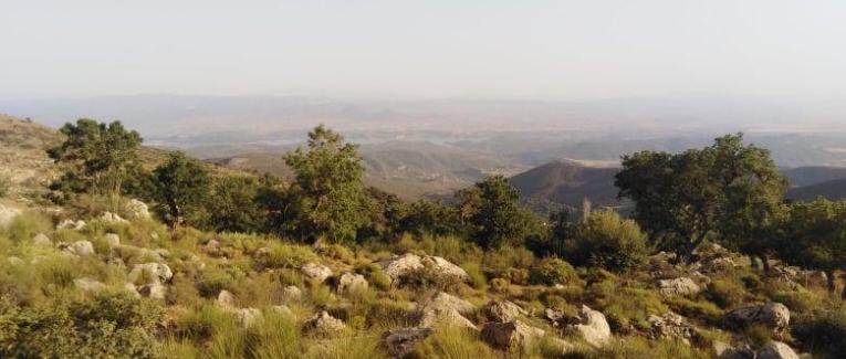 une idée pour un développement durable