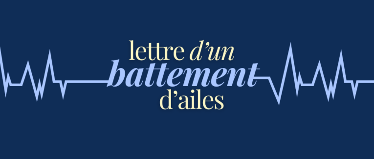 Lettre d'un battement d'ailes